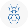 Ant Removals In Boldon
