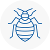 Bed Bug Extermination In Boldon