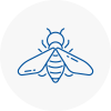 Bee Nest Removal Boldon