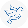 Bird Prevention Boldon