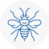 Boldon Hornet Nest Removals