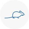 Mice Exterminators In Boldon