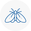 Moth Control Specialists In Boldon