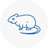 Rat Control Boldon