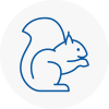 Boldon Rodent Removals