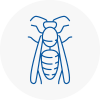 Boldon Wasp Nest Removal